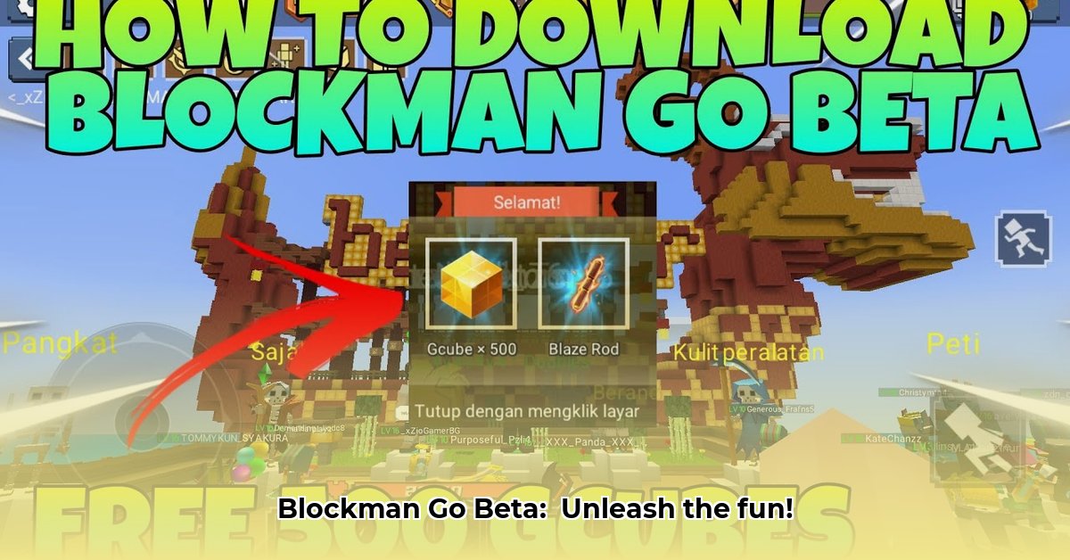 blockman-go-beta